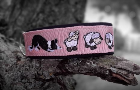 [720491030-1] Collier Mouton Néoprène réglable avec race de chien au choix