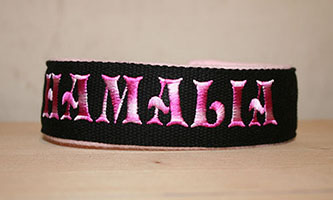 Collier Martingale Polaire avec Sangle de couleur (largeur 3 cm)