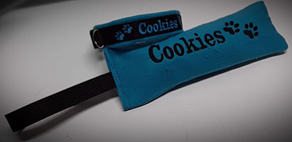 Collier Martingale Polaire (largeur 3 cm)