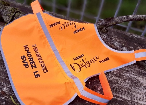 [GILSECCH] GILET RÉFLÉCHISSANT POUR CHIEN