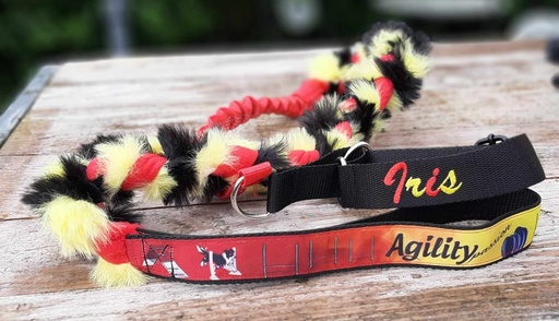 [TNABATI-1-1-1] Ensemble Collier et sa Laisse fourrure folle avec collier martingale brodé