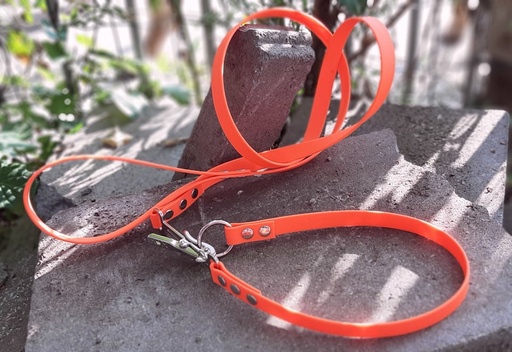 [ANTIPANPVCTUG-1] Collier + laisse PVC attachée avec mousqueton anti panique