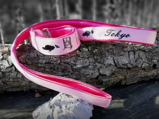 [ENSCOLLAISAGILITY-1] Ensemble Laisse mousqueton/ Collier Martingale Agility