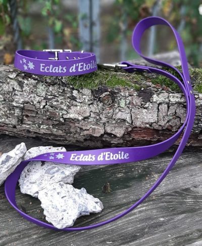 Collier ou Ensemble en PCV en 4 largeurs possible