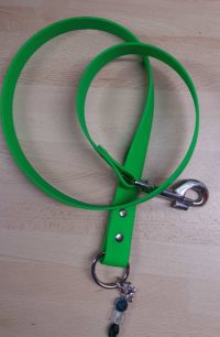 Laisse Interchangeable En PVC (4 largeurs possible)