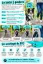 Laisse 3 positions en 2.5 m (PCV/TPUR de haute qualité)
