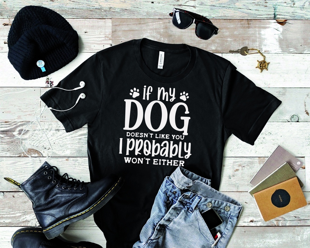If my dog doesn t like you
