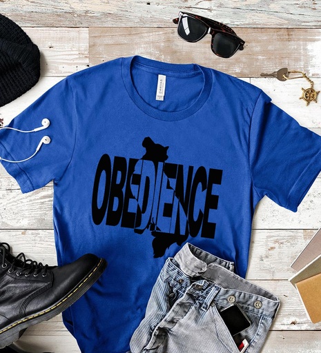 [FTSDREAMTEAM-1-3-1-1] Obédience