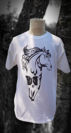 [FBORDCOL CHEVAL] Border Collie Et Cheval